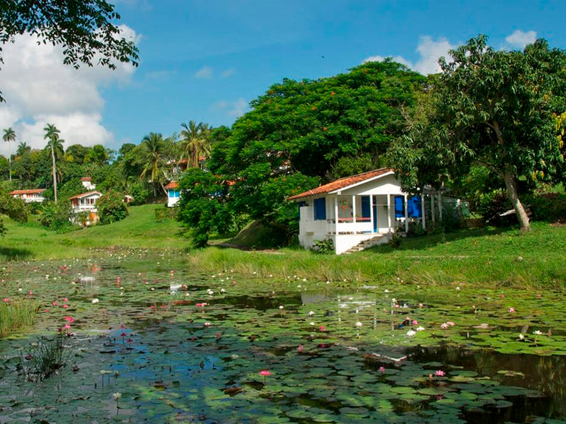 Excursión a las Terrazas -Río San Juan